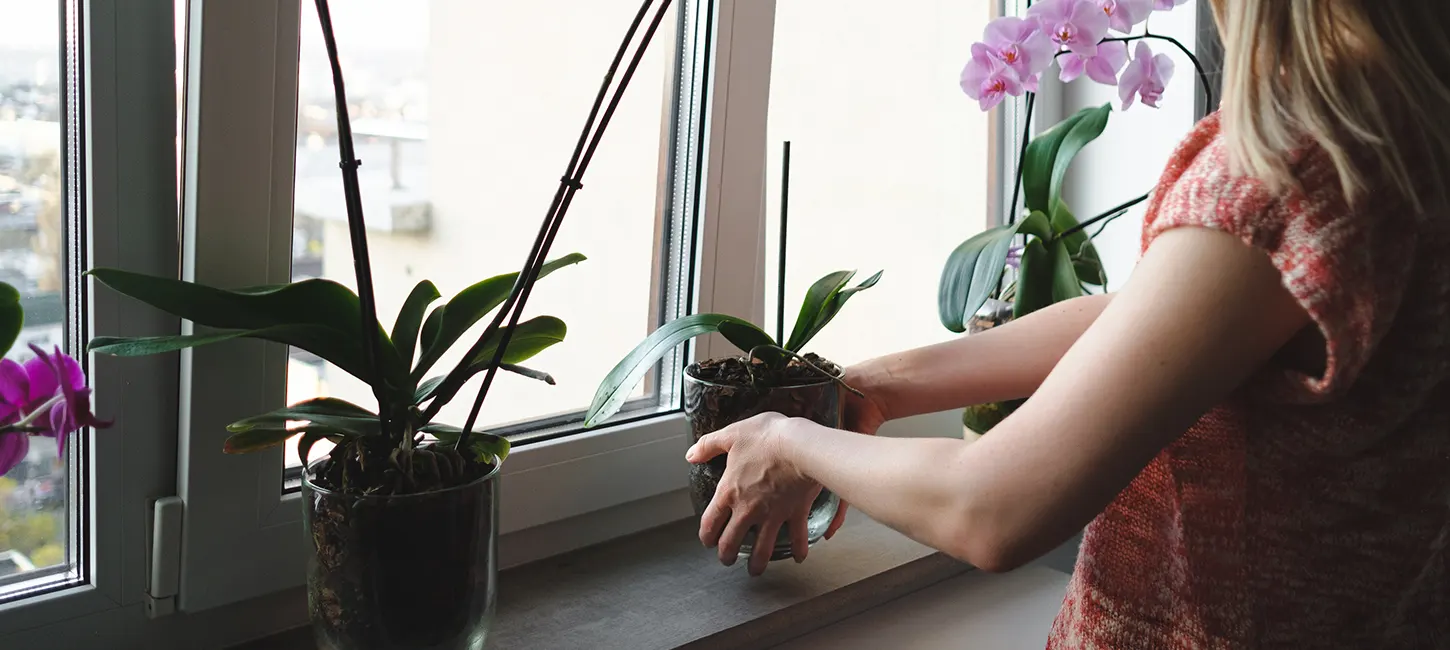 Ventanas oscilobatientes