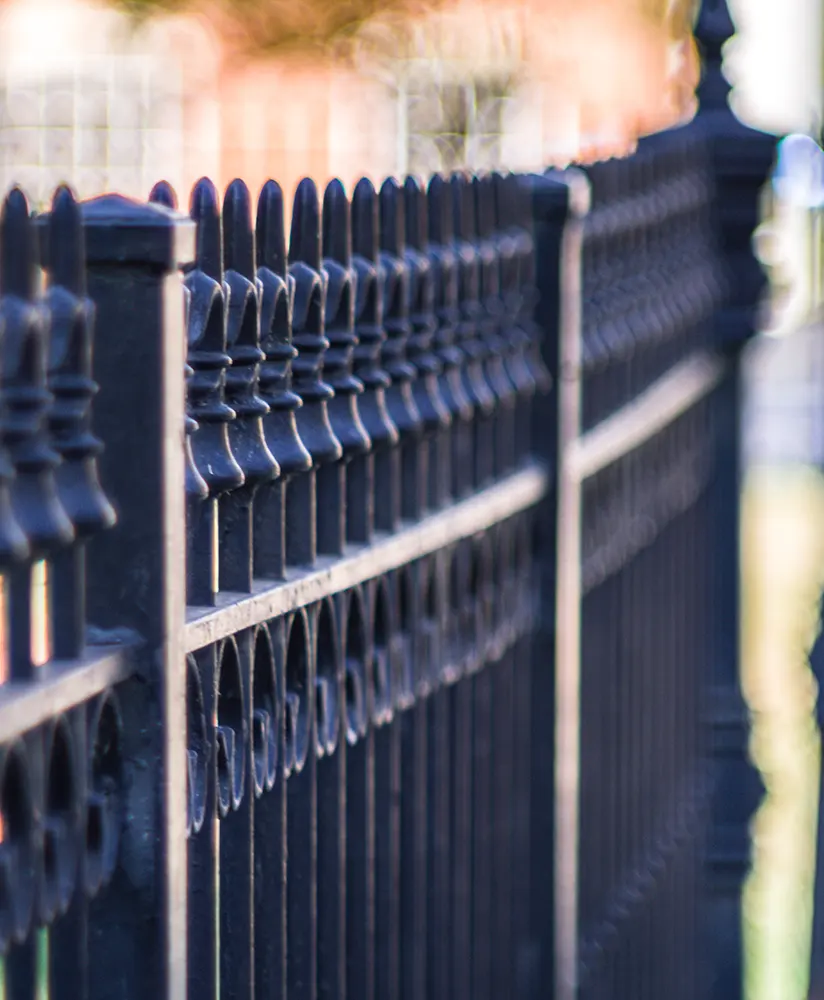 Rejas de seguridad puerta